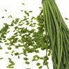 ERBE AROMATICHE BIOLOGICHE FRESCHE - immagine 3