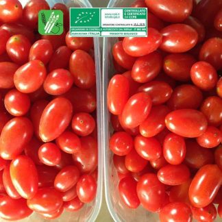 POMODORO DATTERINO BIOLOGICO vaschetta 250 gr
