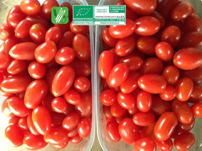POMODORO DATTERINO BIOLOGICO vaschetta 250 gr