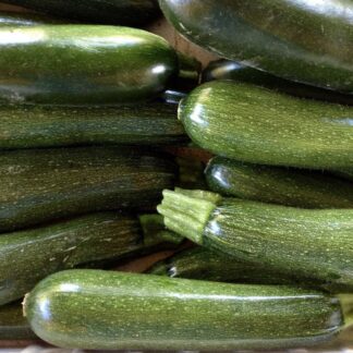 ZUCCHINE SCURE/CHIARE ( in base a disponibilità)
