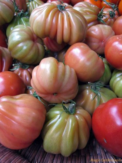 POMODORO CUOR DI BUE
