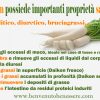 DAIKON BIOLOGICO - immagine 2