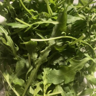 RUCOLA VASCHETTA ( circa 65/70 gr)