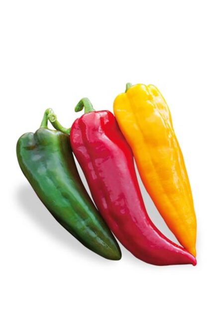 PEPERONE CORNO DI TORO giallo/rosso/verde