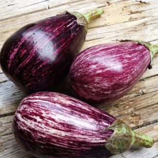 MELANZANA VIOLETTA BIOLOGICA