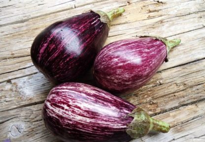 MELANZANA VIOLETTA BIOLOGICA