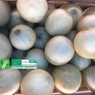 MELONE LISCIO