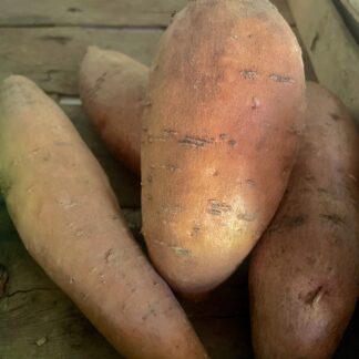 BATATA ARANCIO ( patata americana dolce )