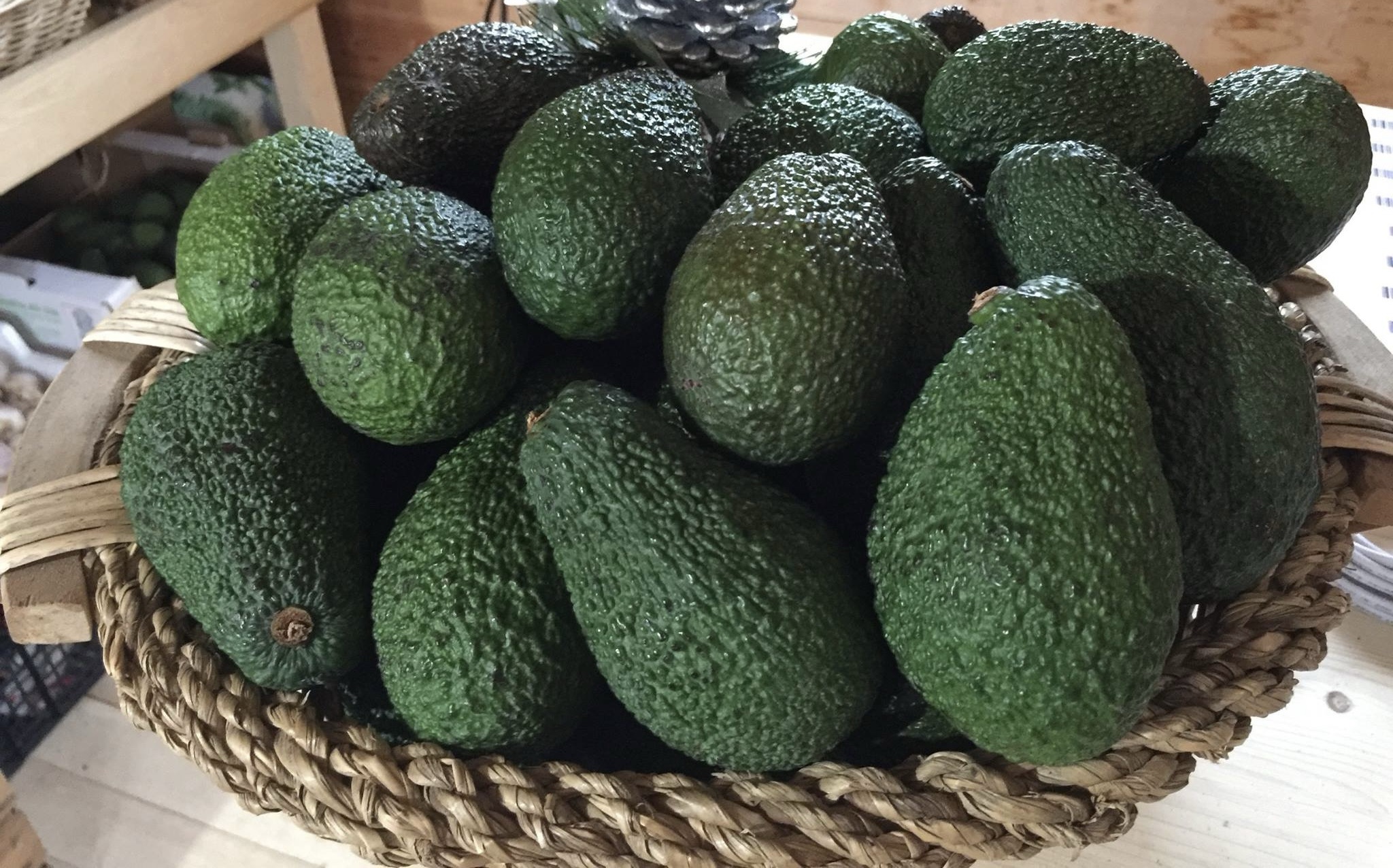 AVOCADO ( solo su richiesta )