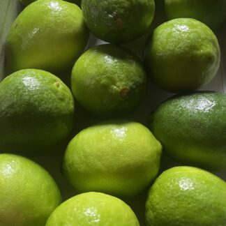 LIME non trattato -buccia edibile -( solo su richiesta )